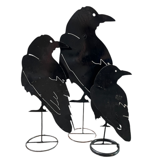 Metal Black Crows