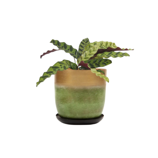 5" Metal Planter Pot