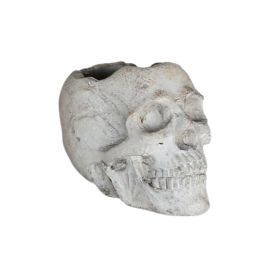 Concrete Momento Mori Skull