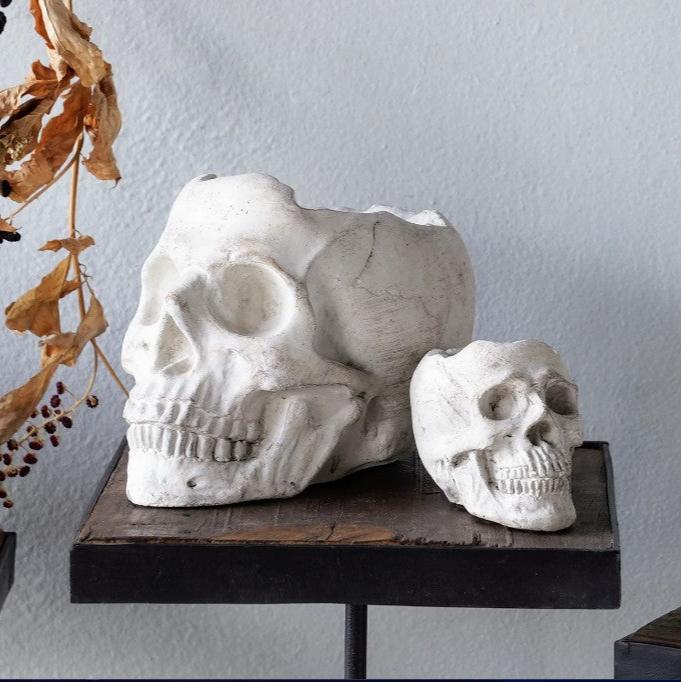 Concrete Momento Mori Skull