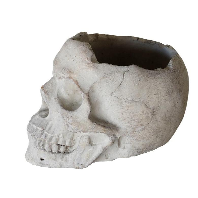 Concrete Momento Mori Skull